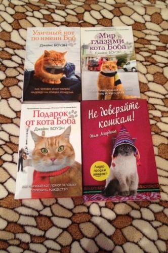 Подарок от кота боба обложка 25