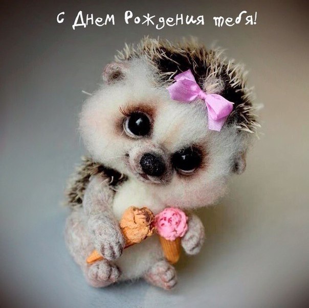 Поздравление от зверюшек