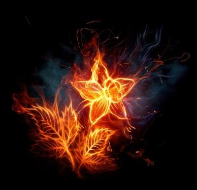 картинка alia_rain