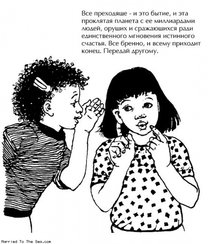 картинка nedkashtanka