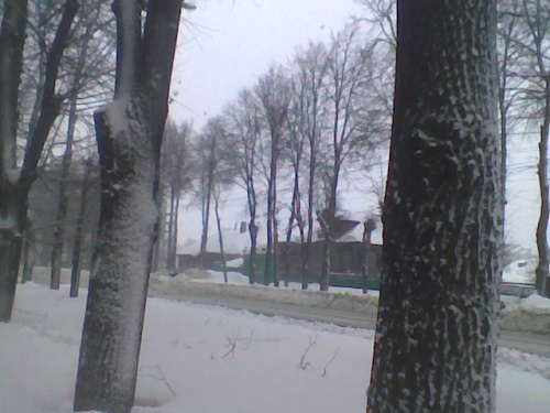 картинка s12413944