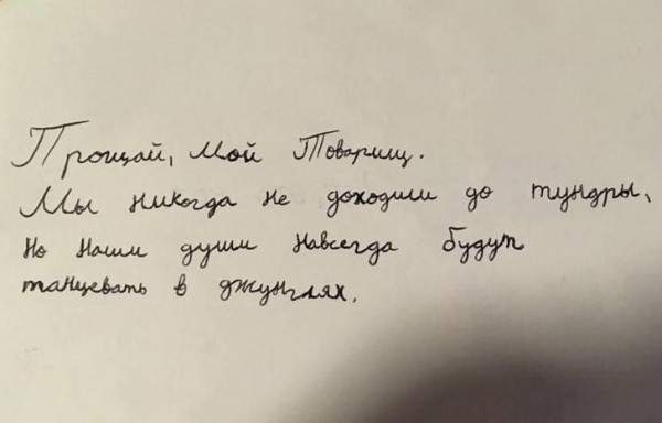 Птица на столе сидит вилка на столе лежит