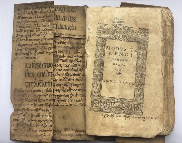 Находка: Медицинская рукопись связывает средневековую Ирландию и мусульманский мир