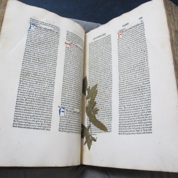 Иногда в немецкой Библии 15 века находится веточка...