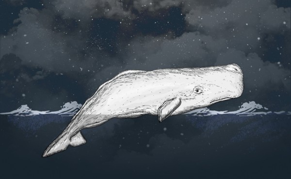 Моби Дик, или Белый кит: интересные факты о загадочном романе
