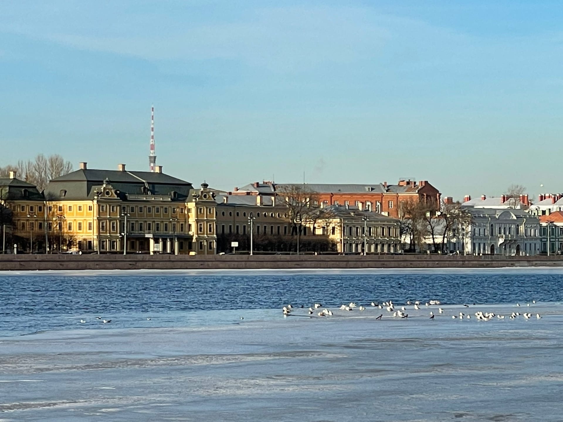 Ракурсы Васильевского острова