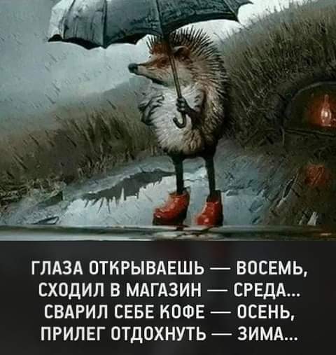 Зонтик | Пикабу