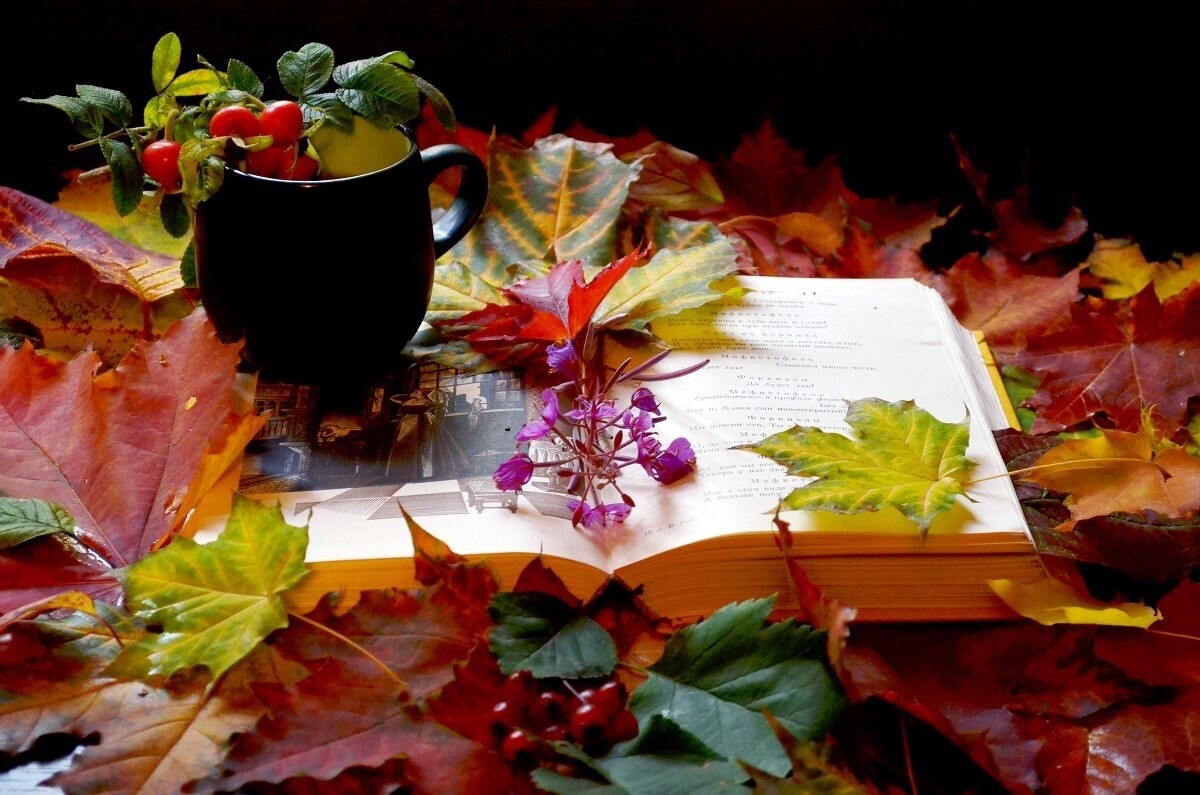 Долгими осенними вечерами мы читали. Осень поэзия. Уютного осеннего вечера. Осенний вечер. Осенние листья вечером.