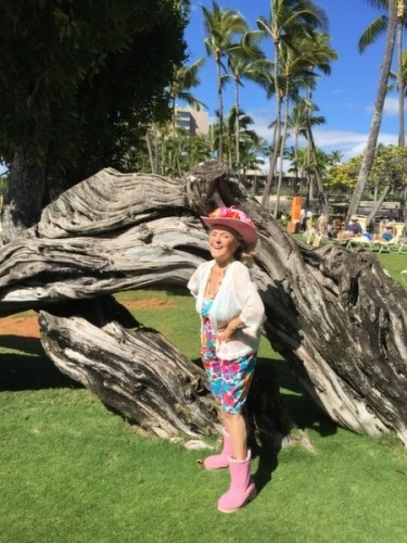 Lovely ancient tree flourishing in Hawaiian sun
