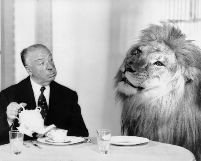 Альфред Хичкок пьет чай вместе со львом со знаменитой заставки студии Metro-Goldwyn-Mayer