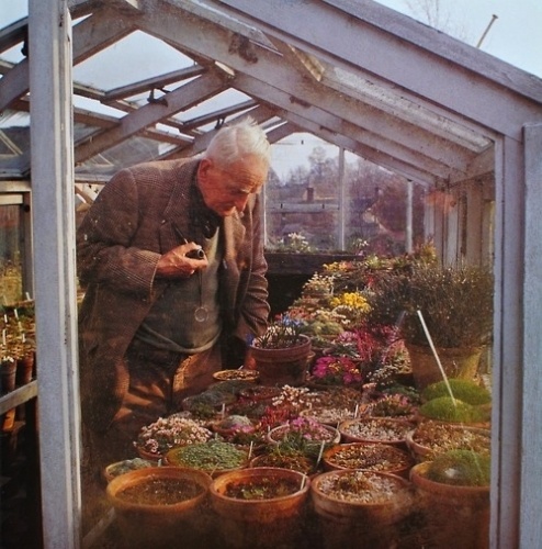 John Ronald Reuel Tolkien, looking at flowers