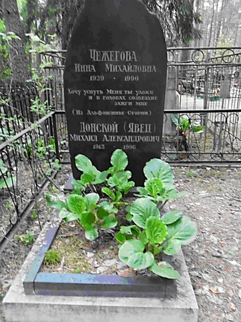 Инна гулая биография личная жизнь причина смерти Михаил Донской - биография, книги, отзывы, цитаты