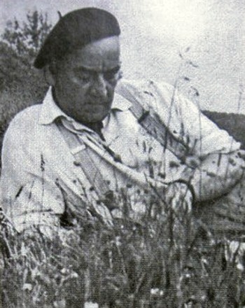 Н.Н. Волков. 1960-е года
