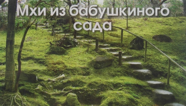 картинка 0505_khv