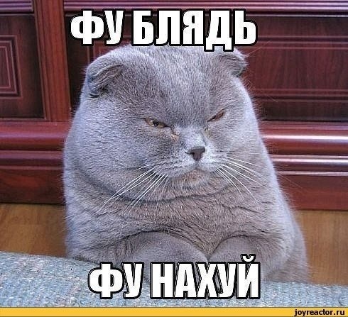 картинка A-Kitsune
