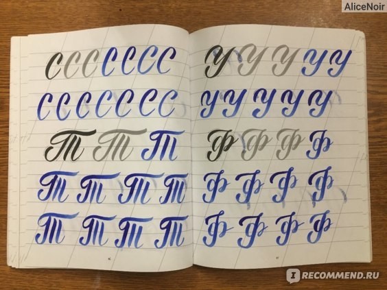 картинка ALICENOIR