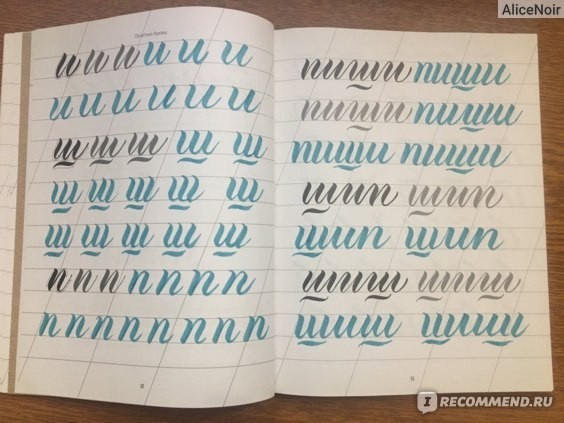 картинка ALICENOIR
