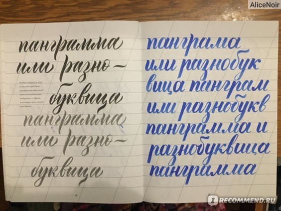 картинка ALICENOIR