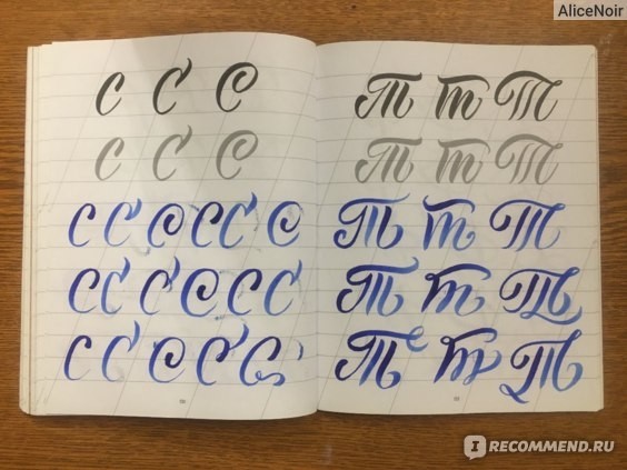 картинка ALICENOIR