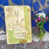 картинка Adazhka