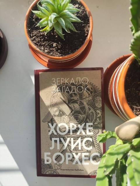 картинка Agriteya
