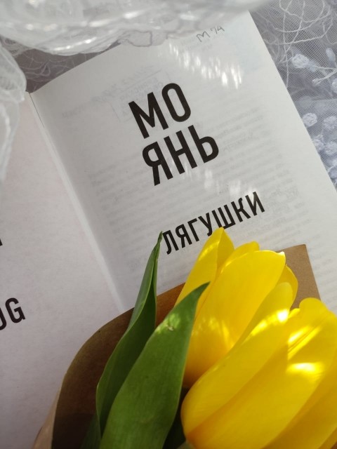 картинка Agriteya