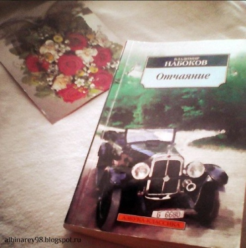 картинка AlbinaRey