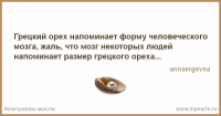 картинка AleksSar