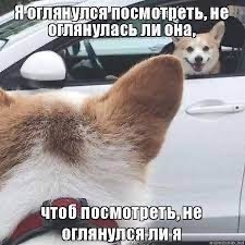 картинка AlenaBegouleva