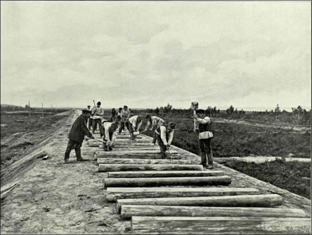 картинка Aleni11