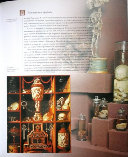 картинка Aleni11