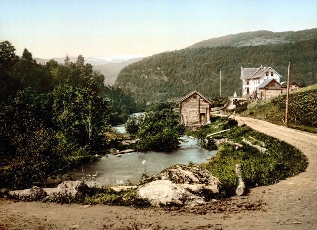 картинка Aleni11