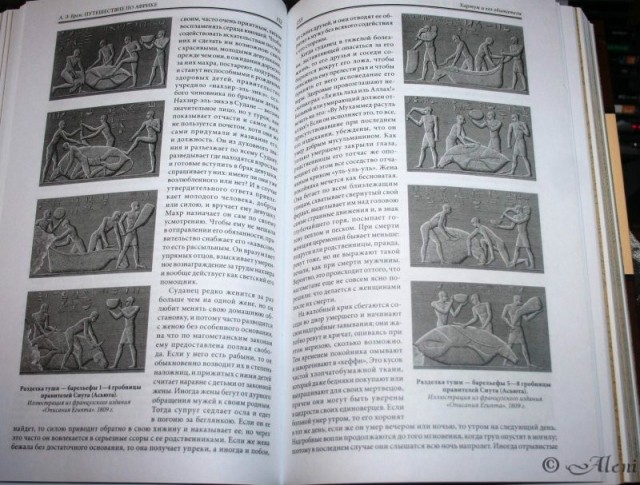 картинка Aleni11