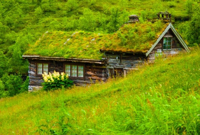 картинка Aleni11