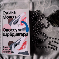 картинка Alex_Winter