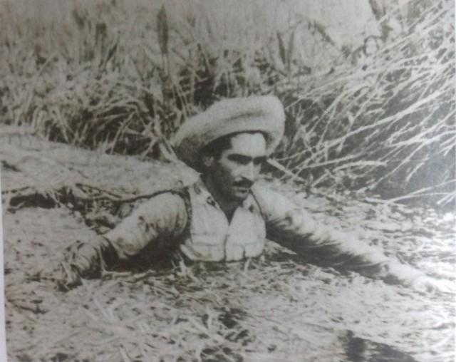 картинка AlexeyVarichev