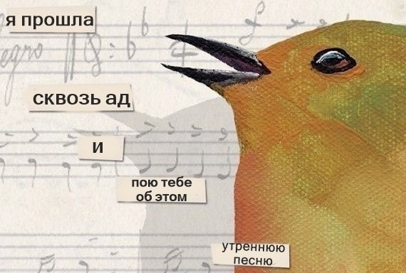 картинка Alice_Woods