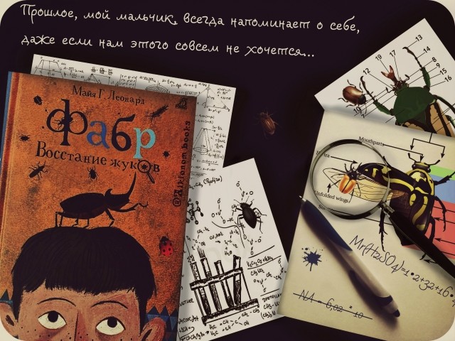 картинка Alkionom