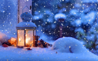 картинка Amazing_ForgetMeNot