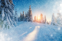 картинка Amazing_ForgetMeNot