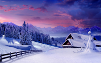 картинка Amazing_ForgetMeNot