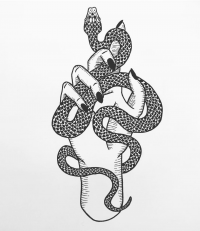 o-l.png