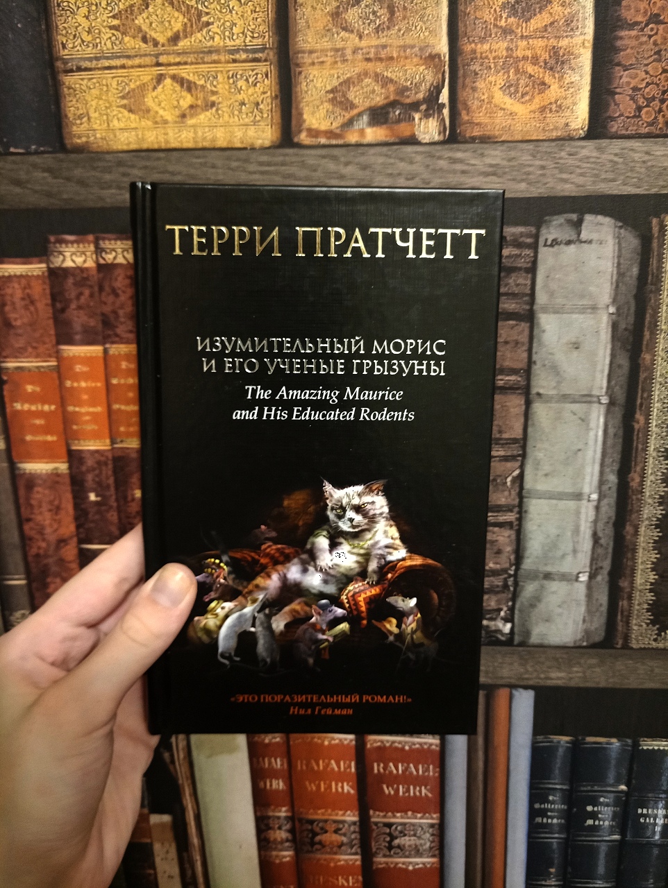 Изумительный морис в качестве. Терри Пратчетт изумительный Морис. Терри Пратчетт изумительный Морис и его учёные Грызуны. Изумительный Морис и его учёные Грызуны книга. Терри Пратчетт кот Моррис.