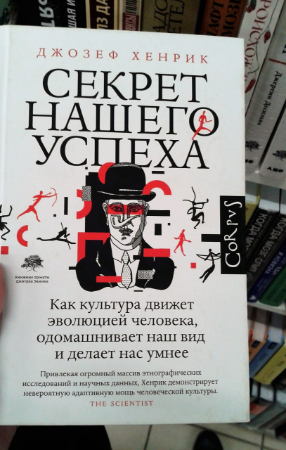картинка Anastasia246