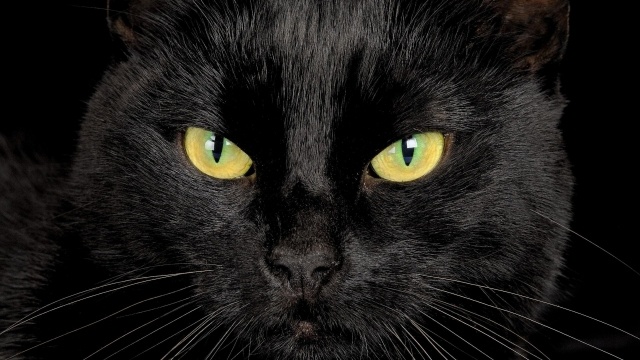 картинка Andrea_Milton