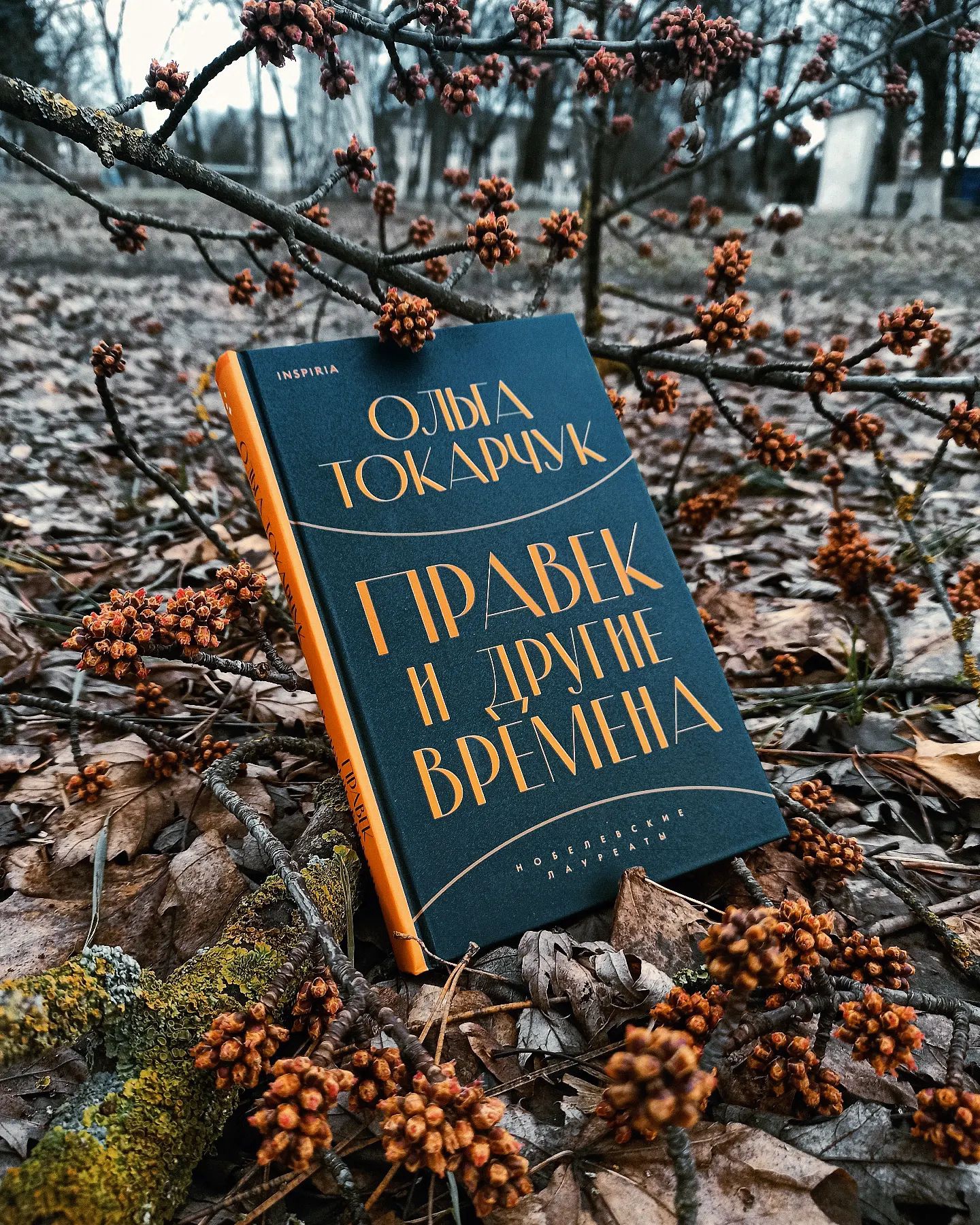 Отзывы о книге «Правек и другие времена», рецензии на книгу Ольги Токарчук,  рейтинг в библиотеке ЛитРес, страница 2