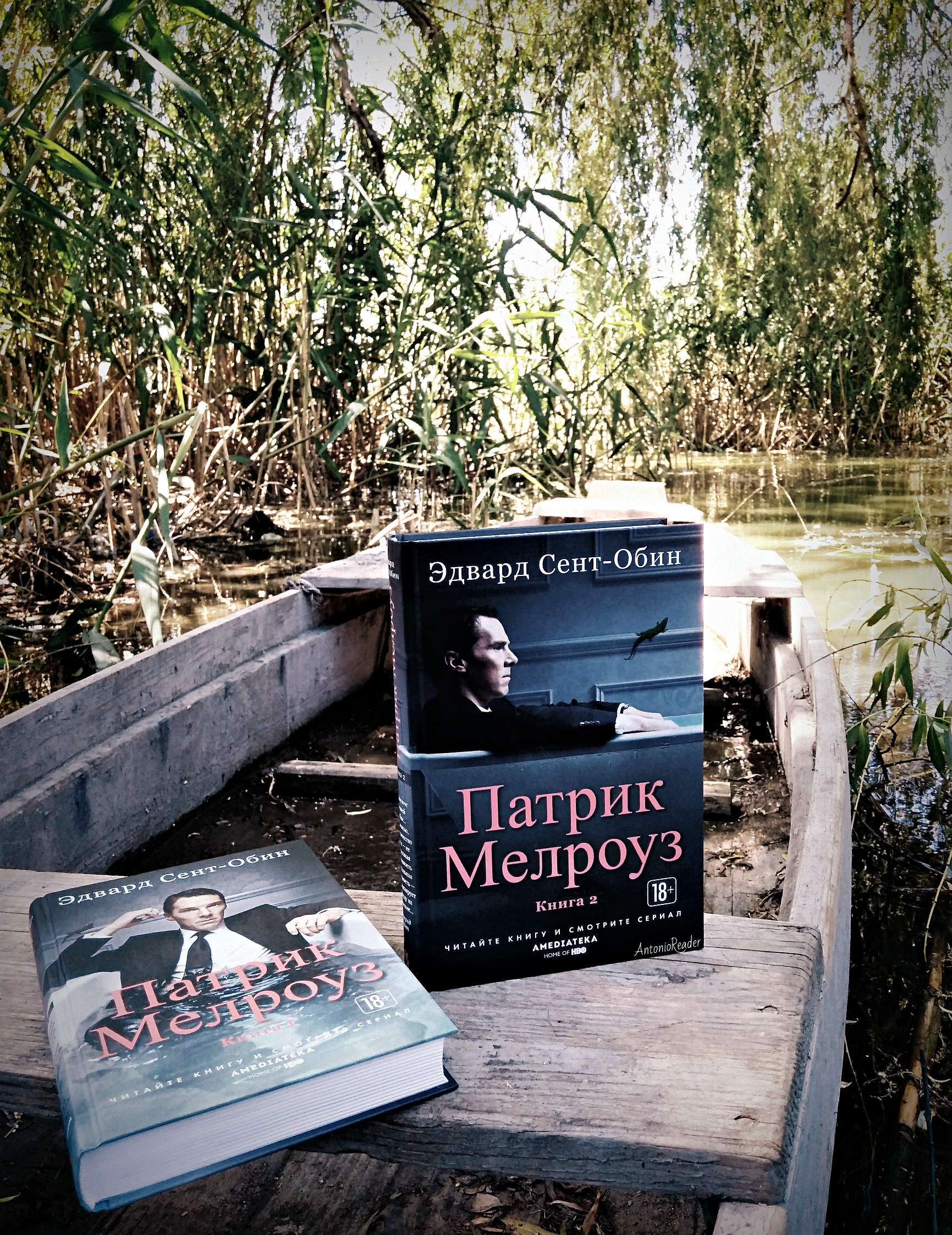 Книга патрика. Патрик Мелроуз книга. Патрик с книгой. Патрик Мелроуз. Книга 1.