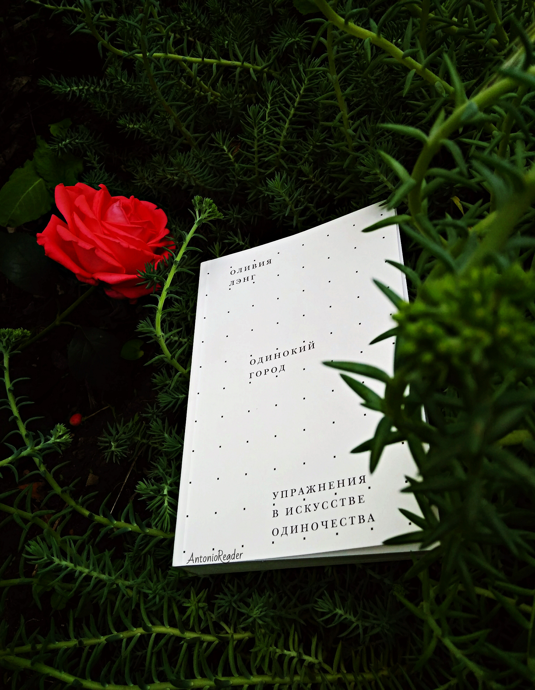 якуб шиканедер «погружённая в мысли» 1890. одинокий человек в лодке. януш вишневский одиночество в сети. вишневский одиночество в сети книга. понятие одиночества.