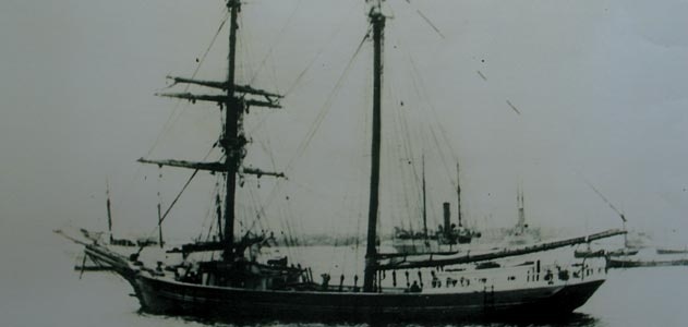 картинка Arlett