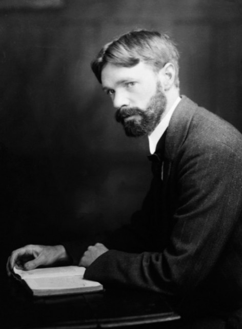 картинка Arlett